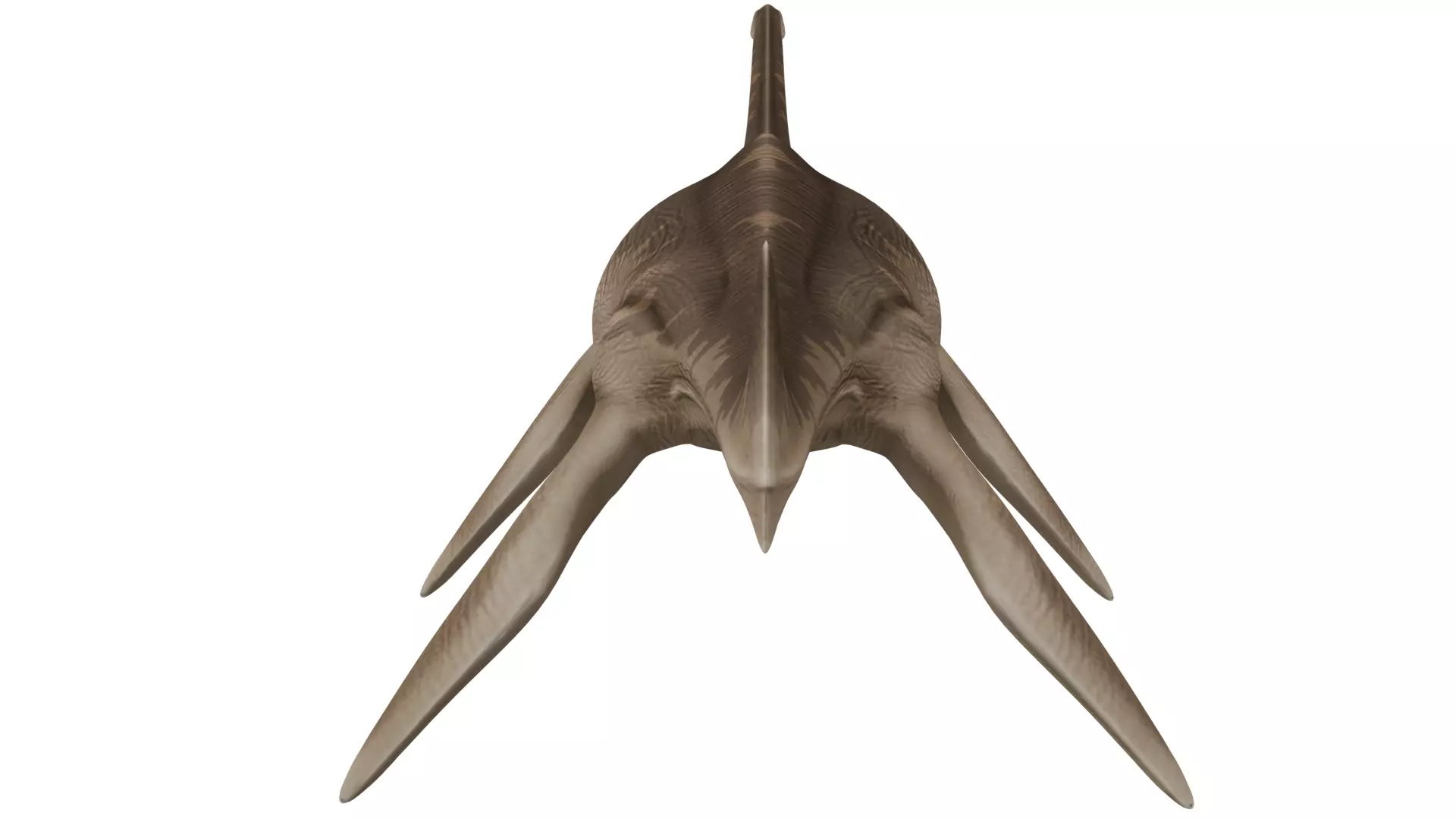 Thalassomedon 3D model_3