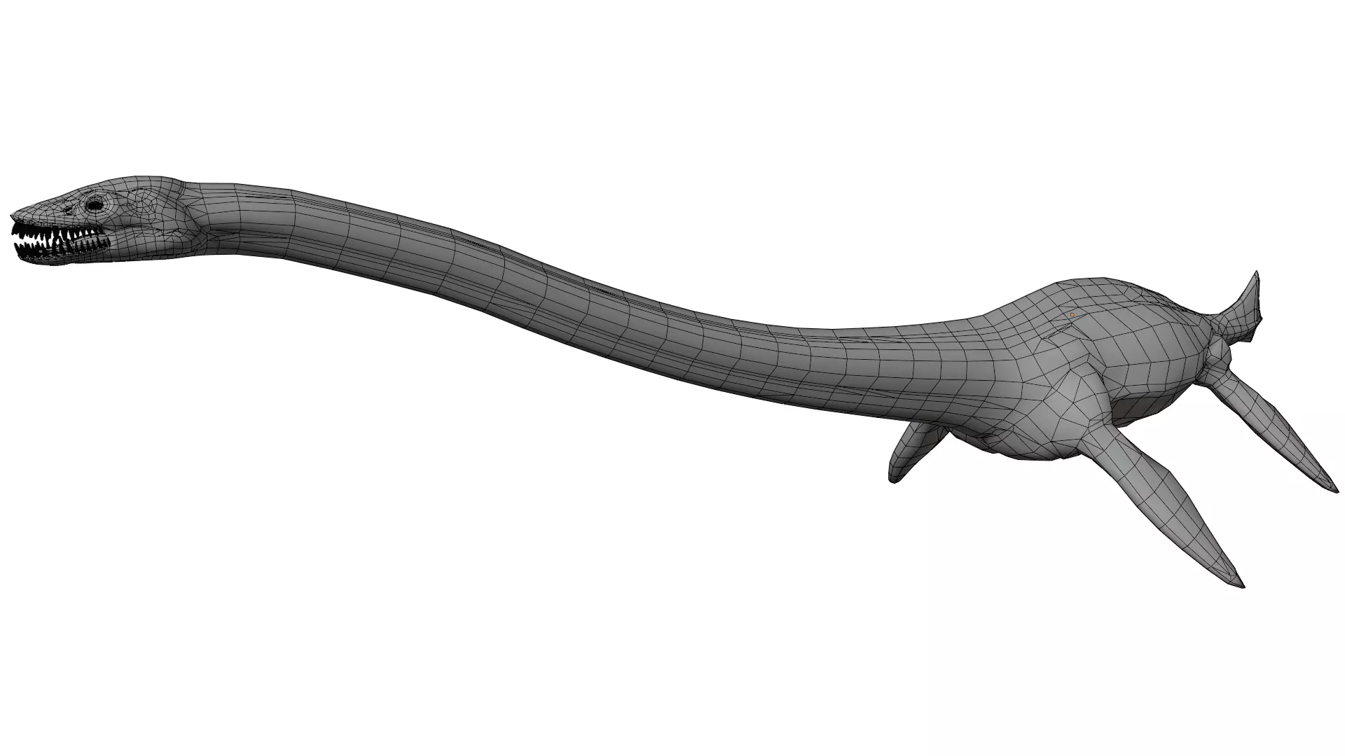 Thalassomedon 3D model_9