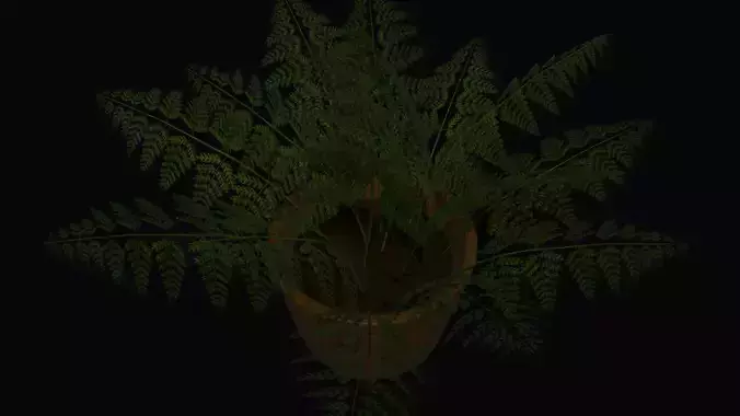 3D pot with fern