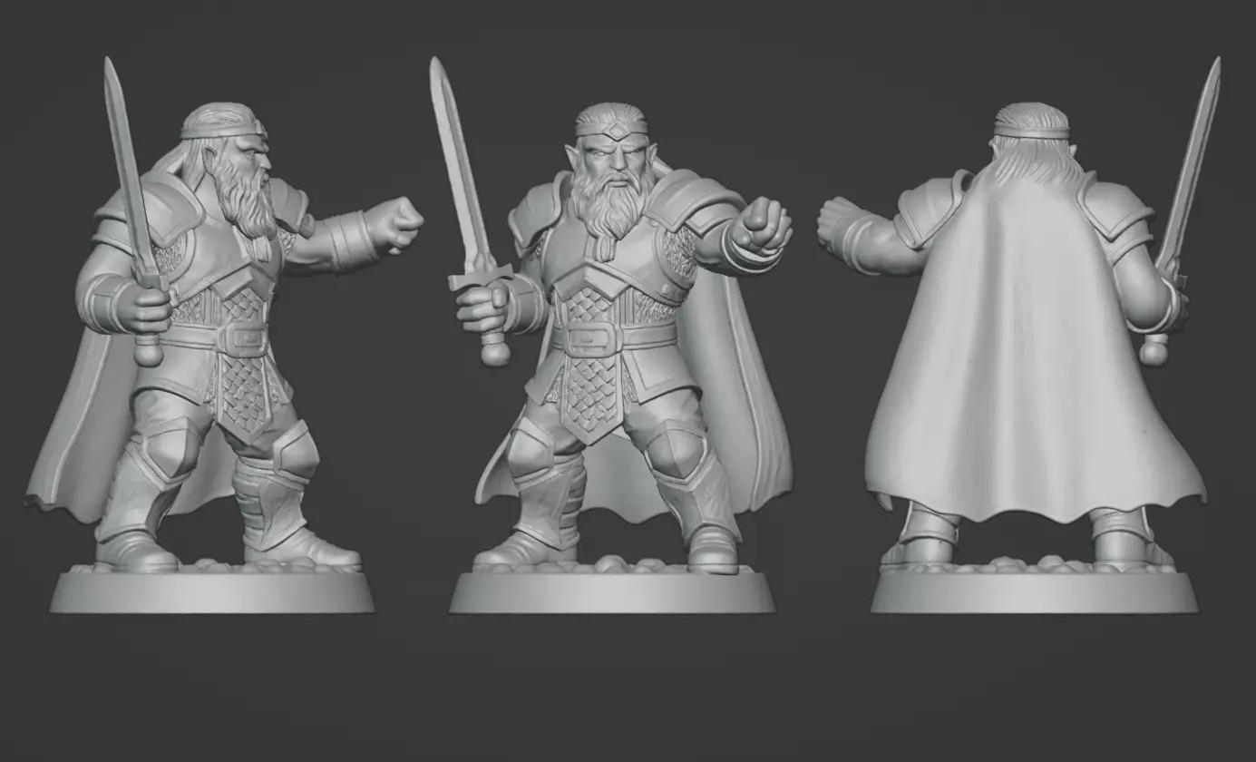 DND Hero Sword and Shield Captain Print Ready STL 3D print model_0
