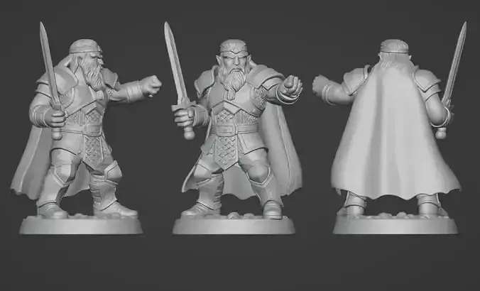 DND Hero Sword and Shield Captain Print Ready STL