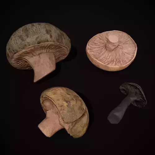 Wild Mushrooms Pack 