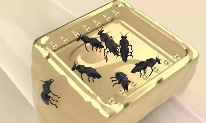 this ring for bug  lover