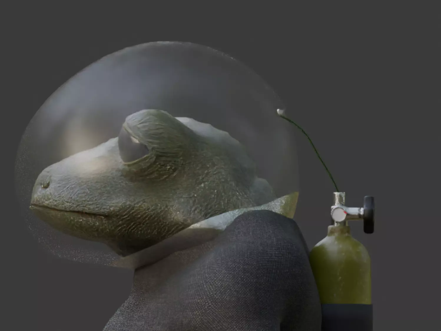 The Frogman Expedition Collection _16