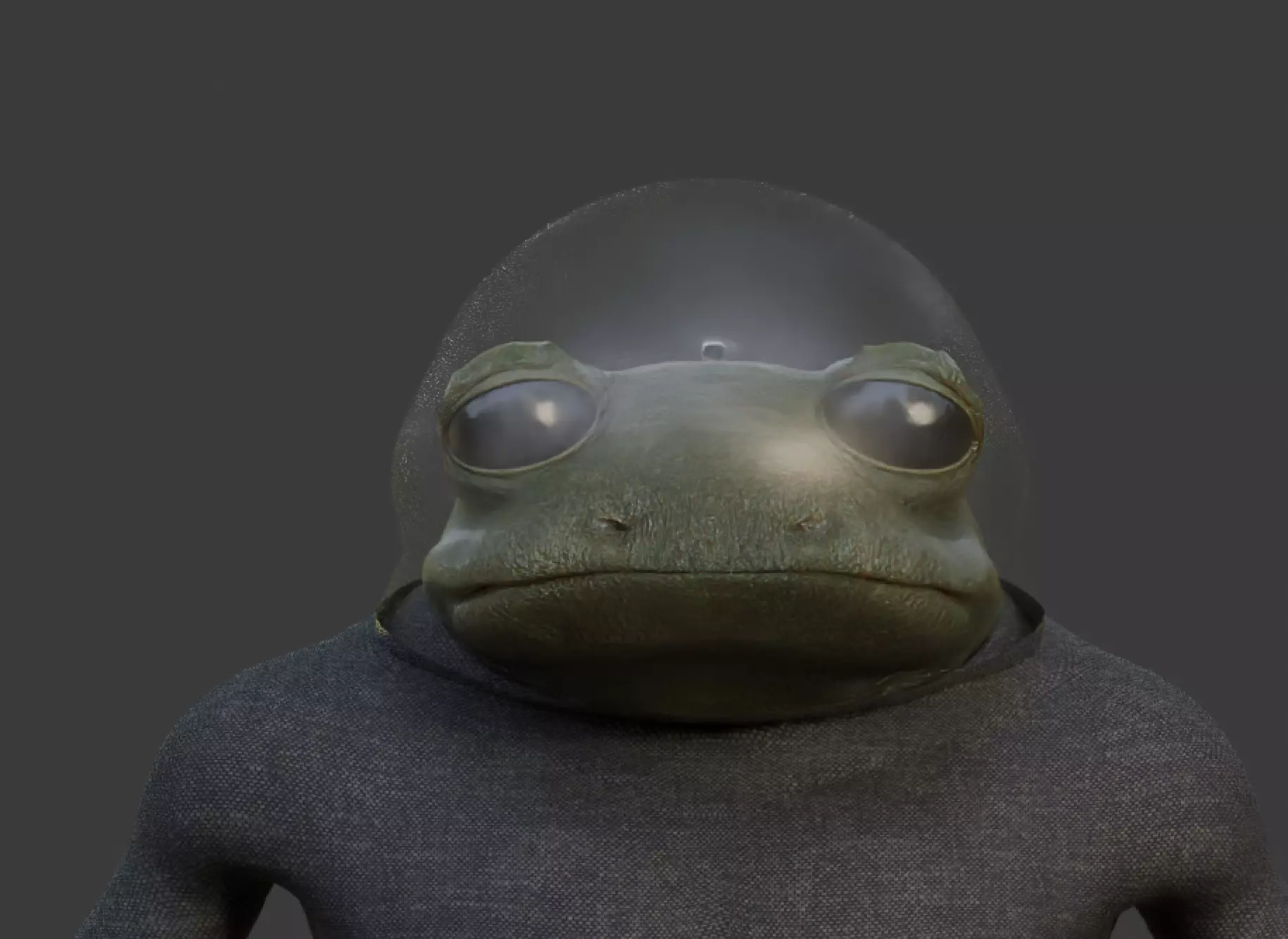 The Frogman Expedition Collection _15