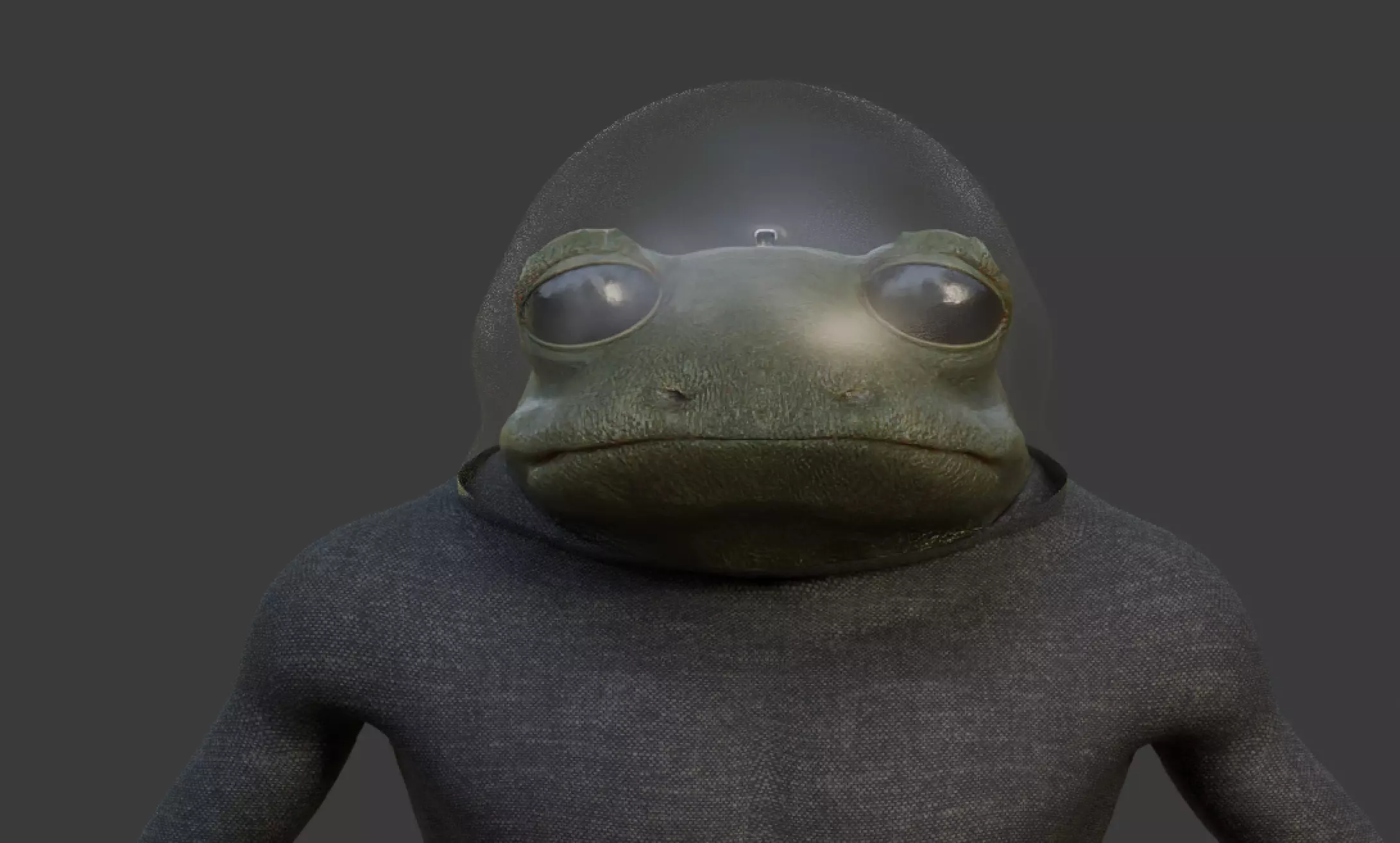 The Frogman Expedition Collection _21