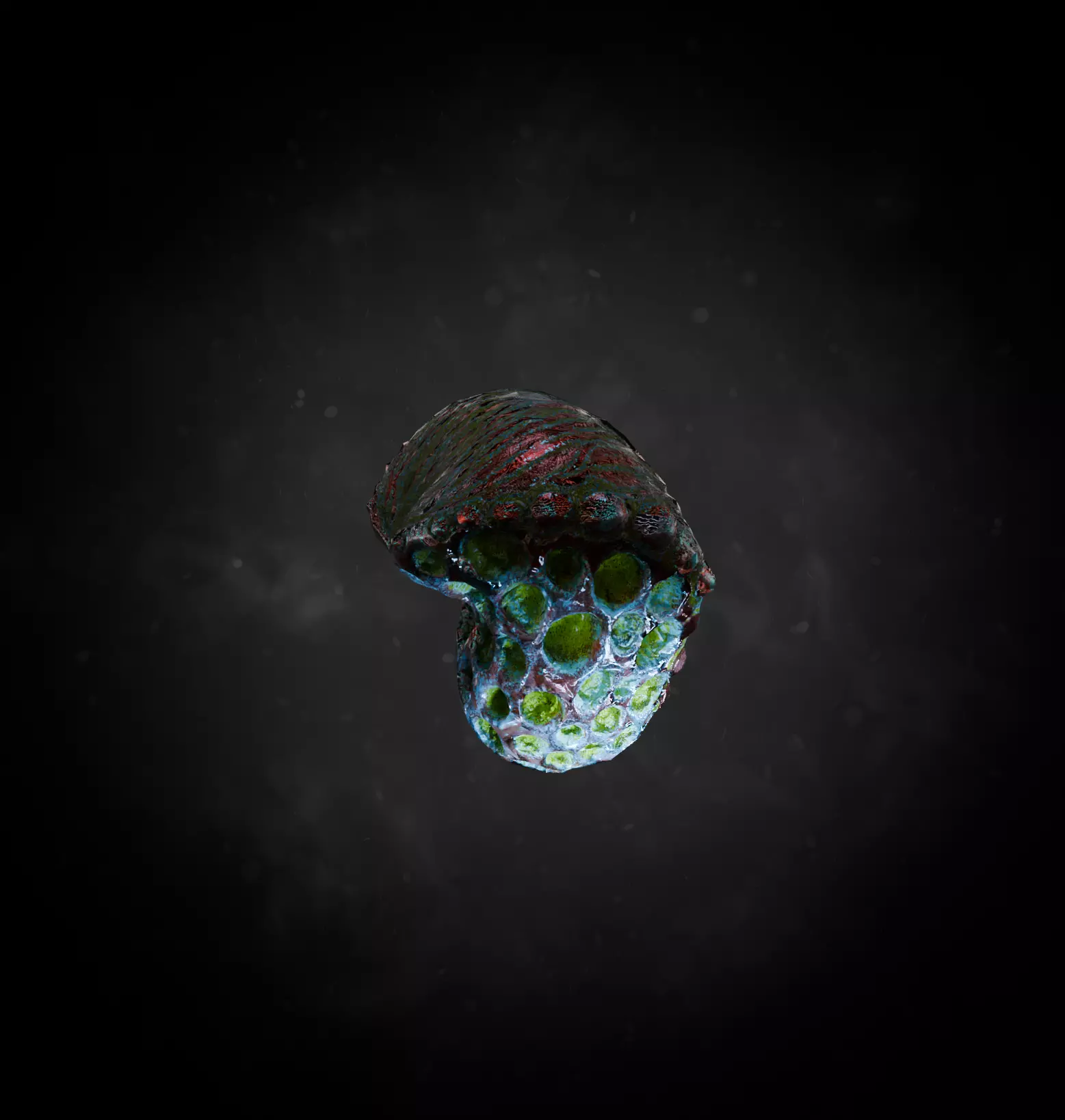 Alien Fungi Fruit Item Spooky PBR High Quality Plant Props Low-poly 3D model_45