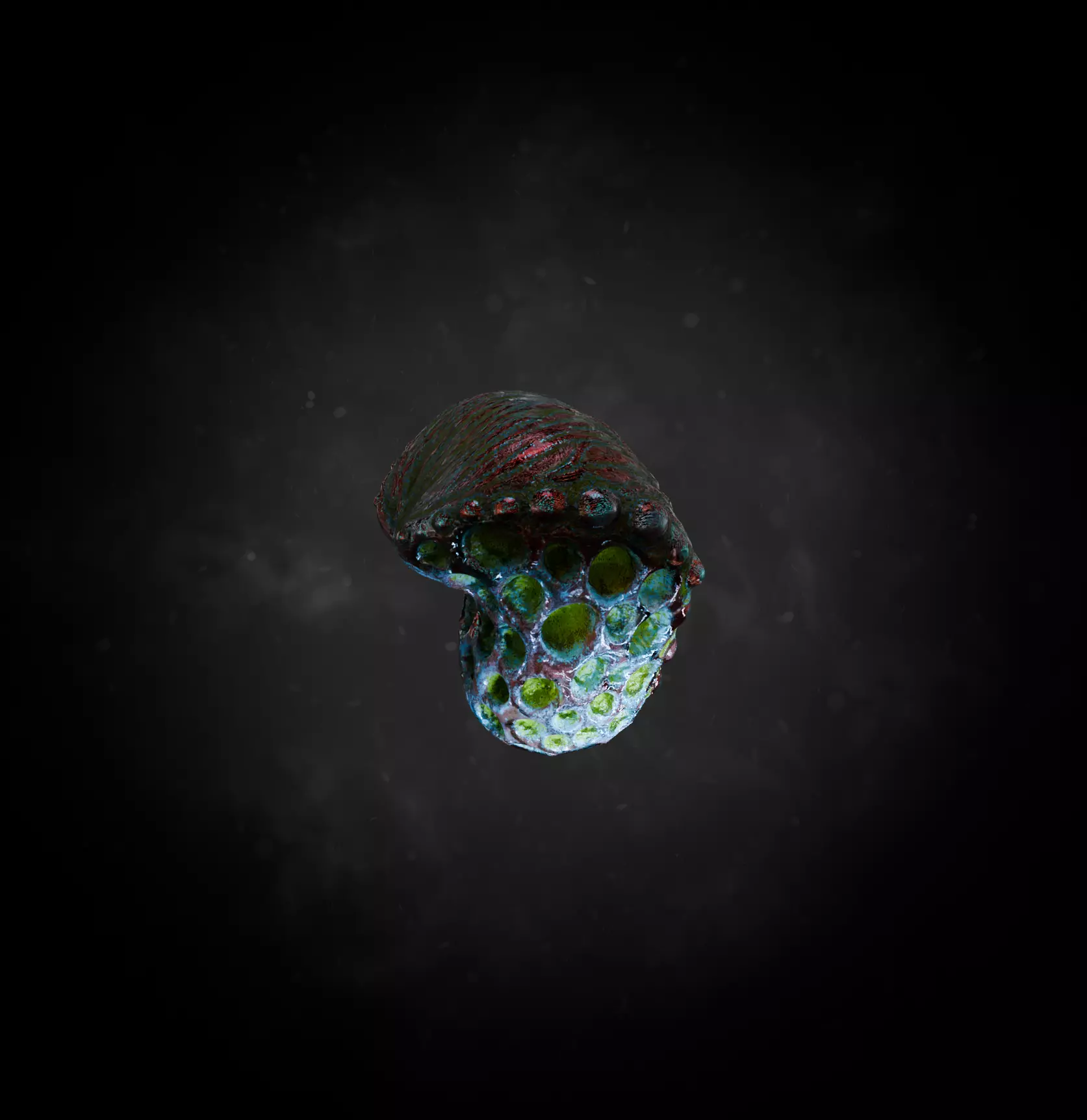 Alien Fungi Fruit Item Spooky PBR High Quality Plant Props Low-poly 3D model_51