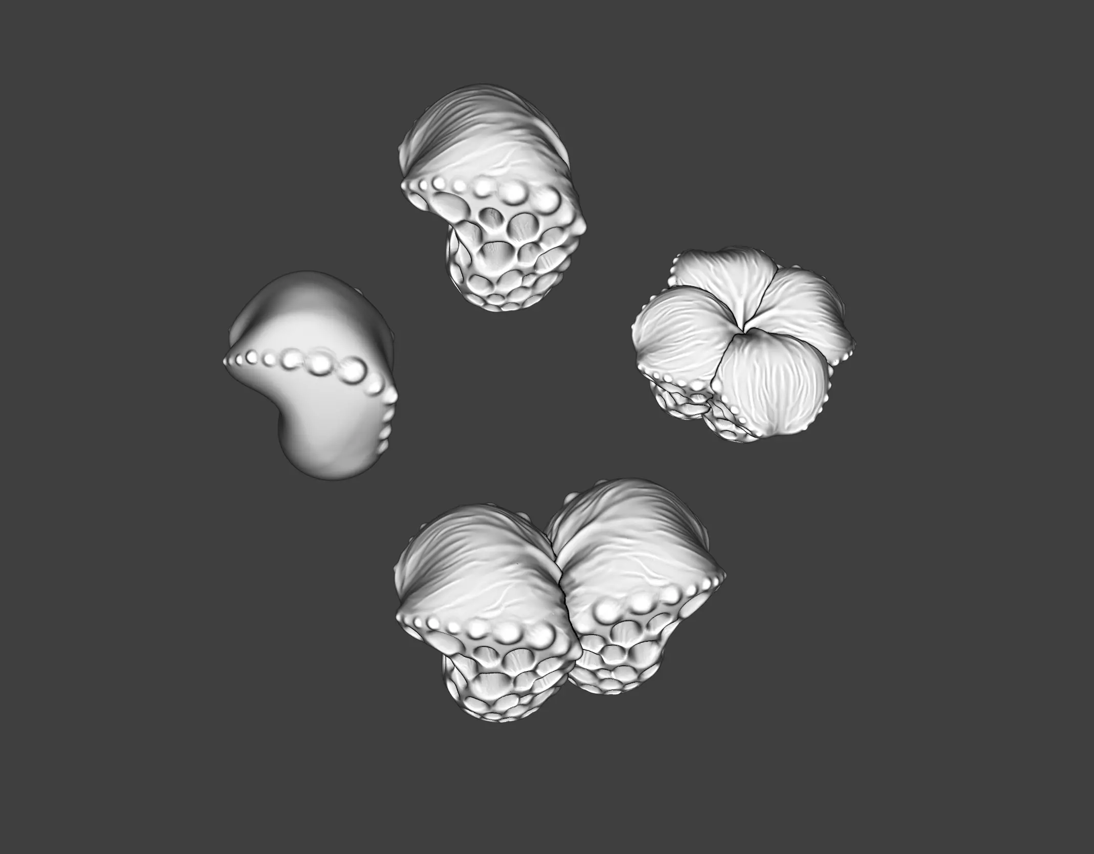 Spooky Alien Fungi Plant SET Natural Terrain Miniature Kitbash 3D print model_3