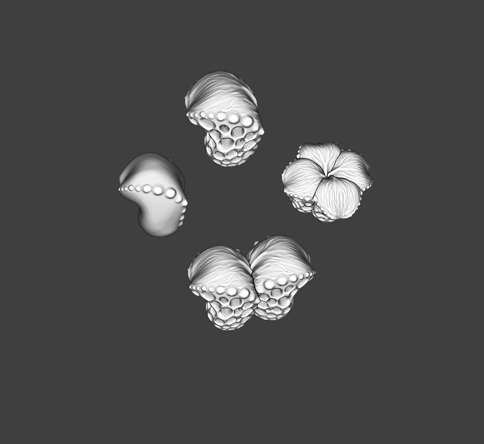 Spooky Alien Fungi Plant SET Natural Terrain Miniature Kitbash 3D print model_4