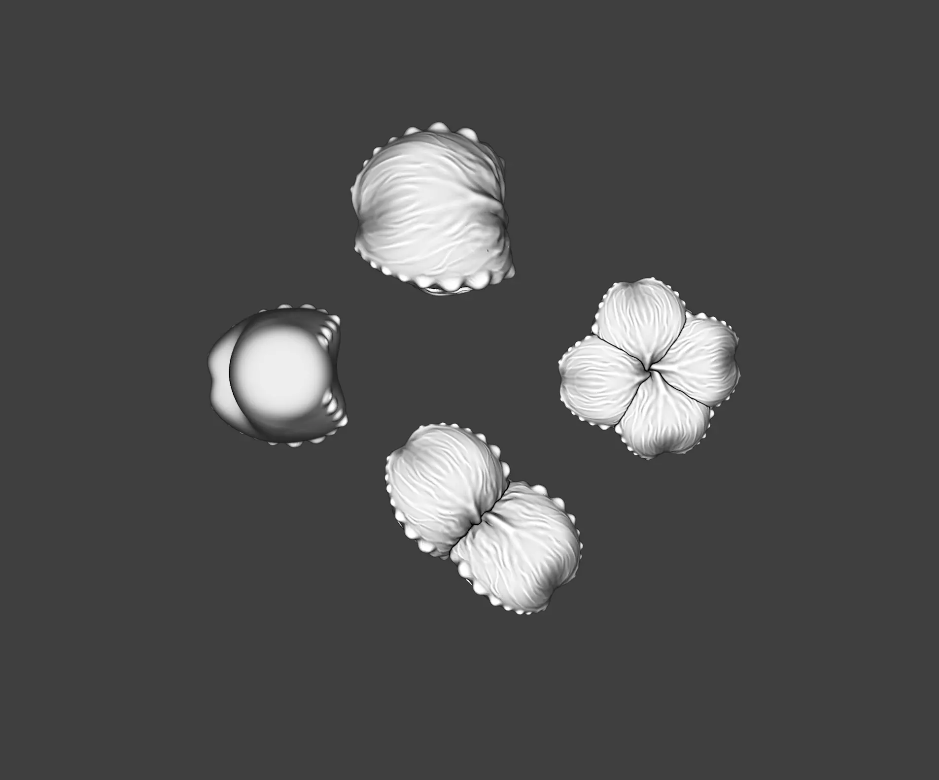 Spooky Alien Fungi Plant SET Natural Terrain Miniature Kitbash 3D print model_5