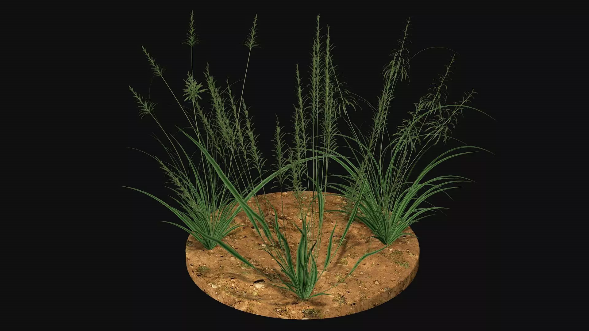 Weed grass Low-poly 3D model