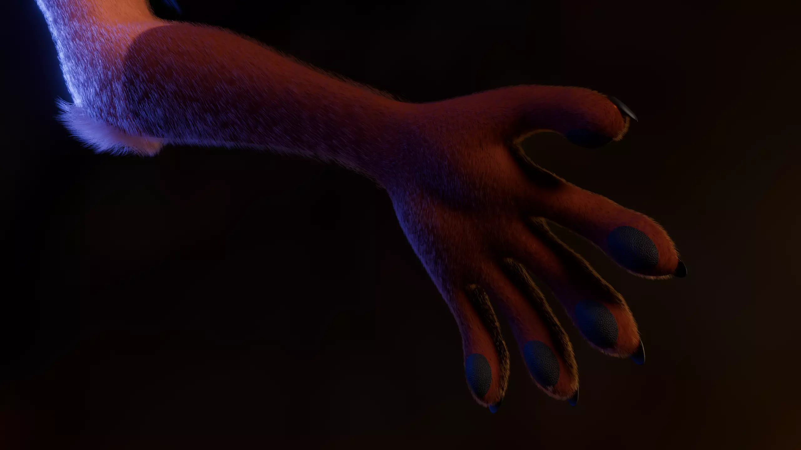 Kate Anthro Fox Low-poly 3D model_12