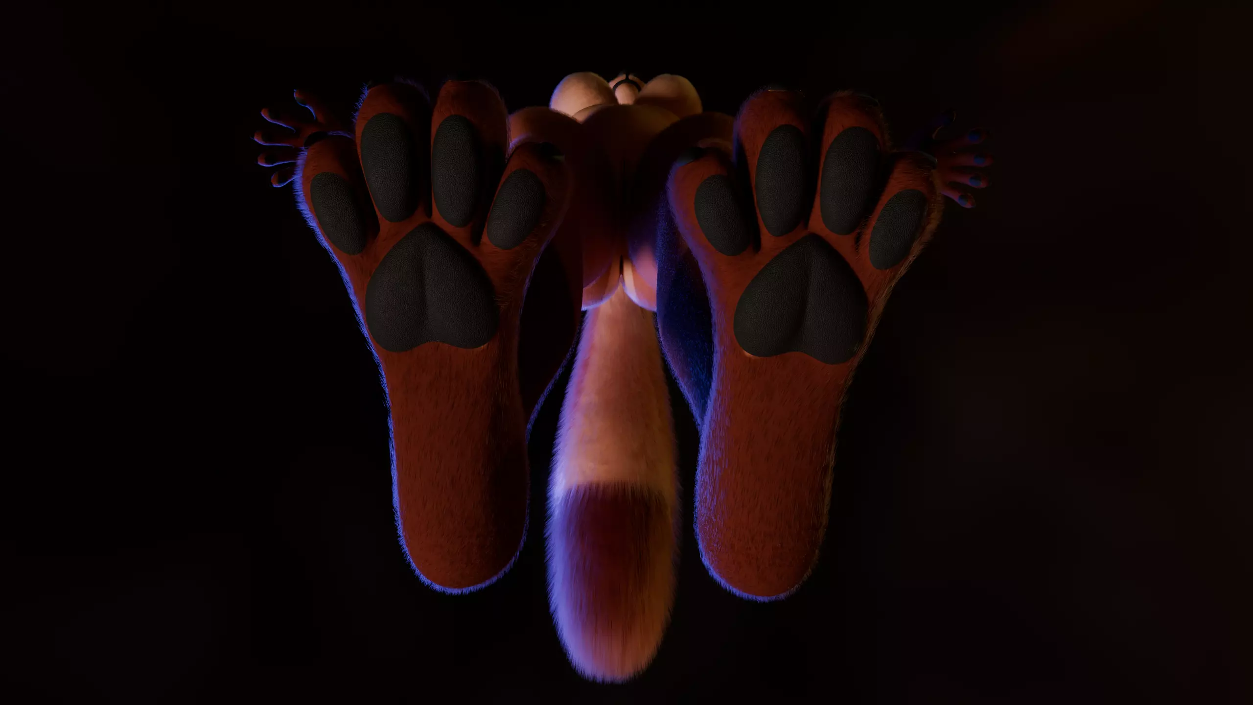 Kate Anthro Fox Low-poly 3D model_14