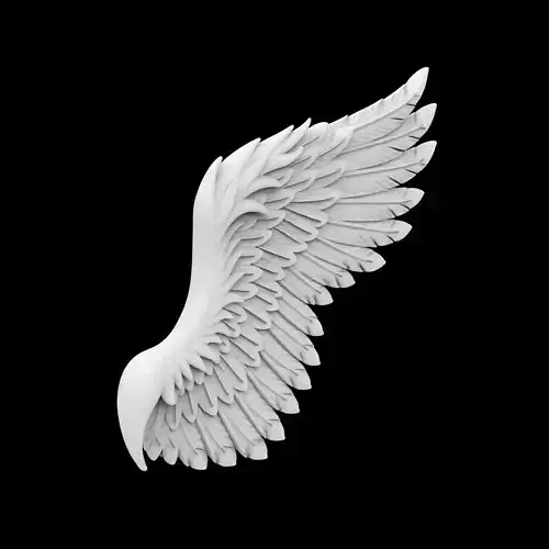 Angelic Demon Wings with Dark Feathers 3D Printable Model