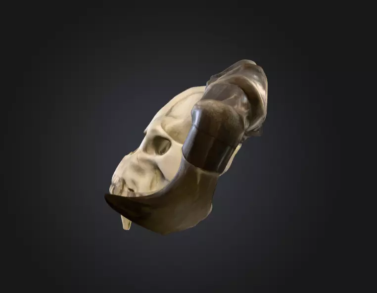 Ram Skull Artifact Low-poly 3D model_2