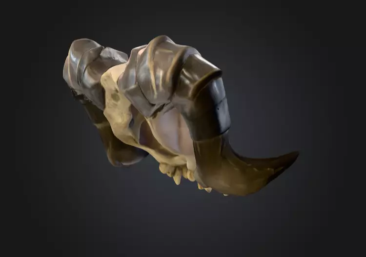 Ram Skull Artifact Low-poly 3D model_5