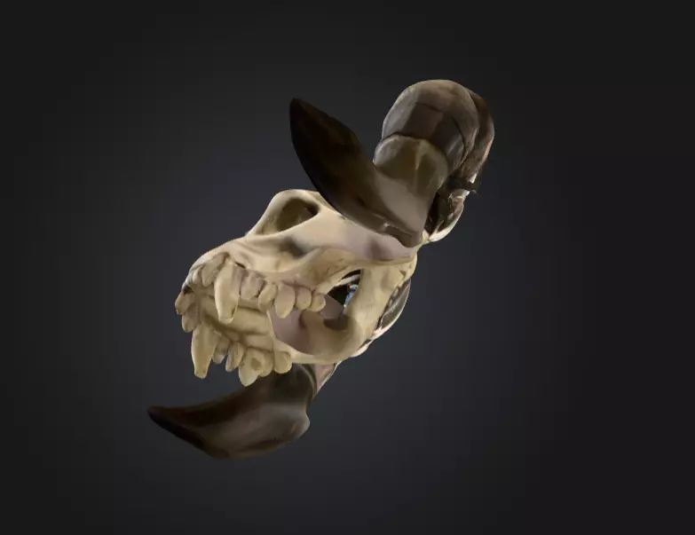 Ram Skull Artifact Low-poly 3D model_12