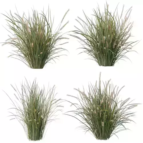  Pampas Bush and Wheat Grass - Bush Set 09