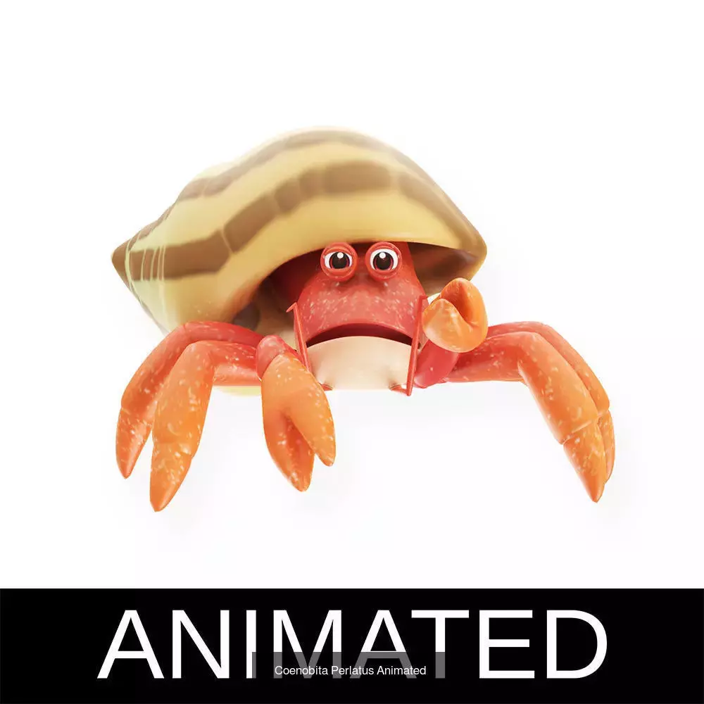 Low poly rigged and animated Aquatic animals Collection  _62