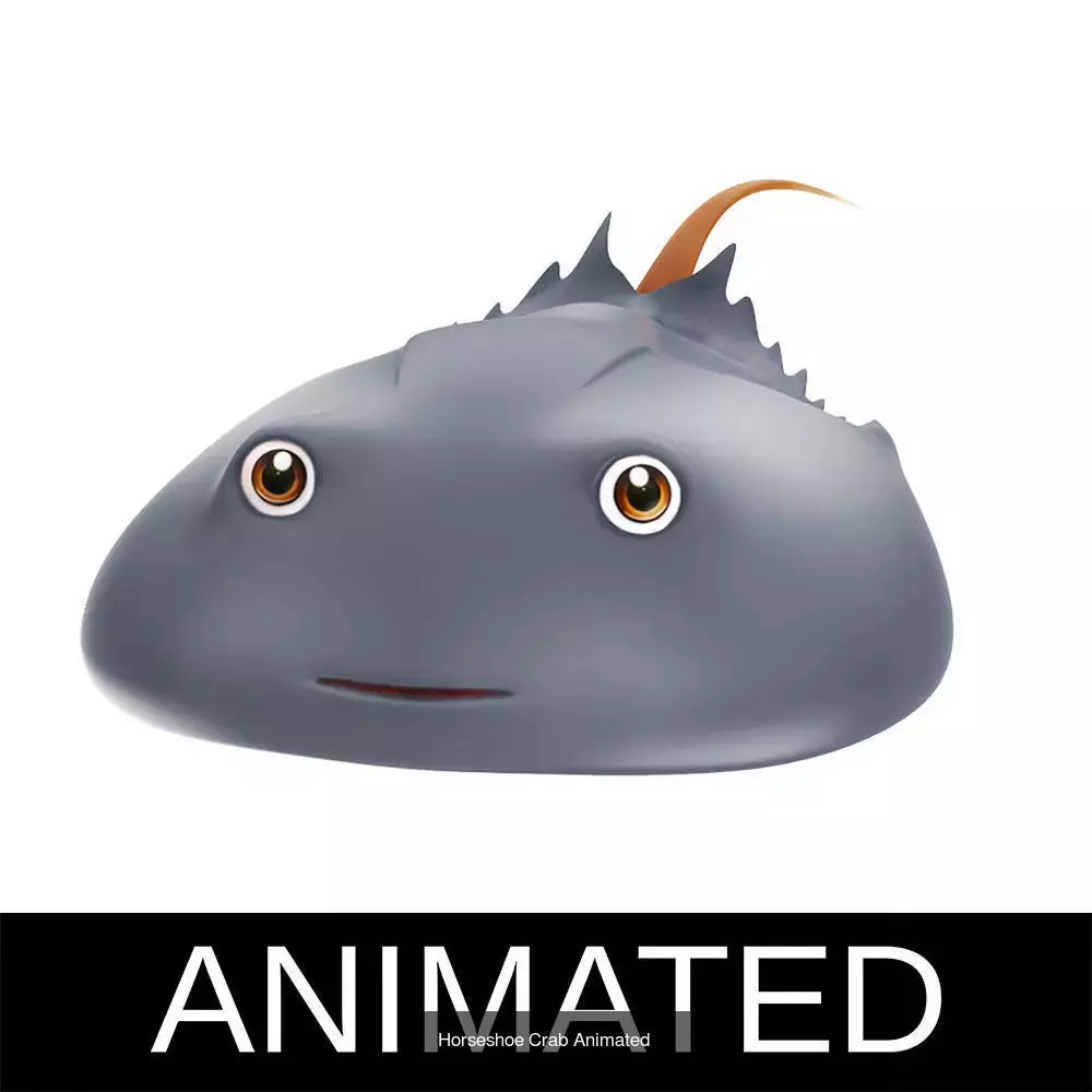 Low poly rigged and animated Aquatic animals Collection  _63
