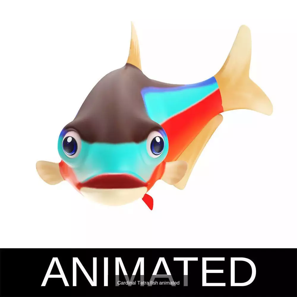 Low poly rigged and animated Aquatic animals Collection  _40