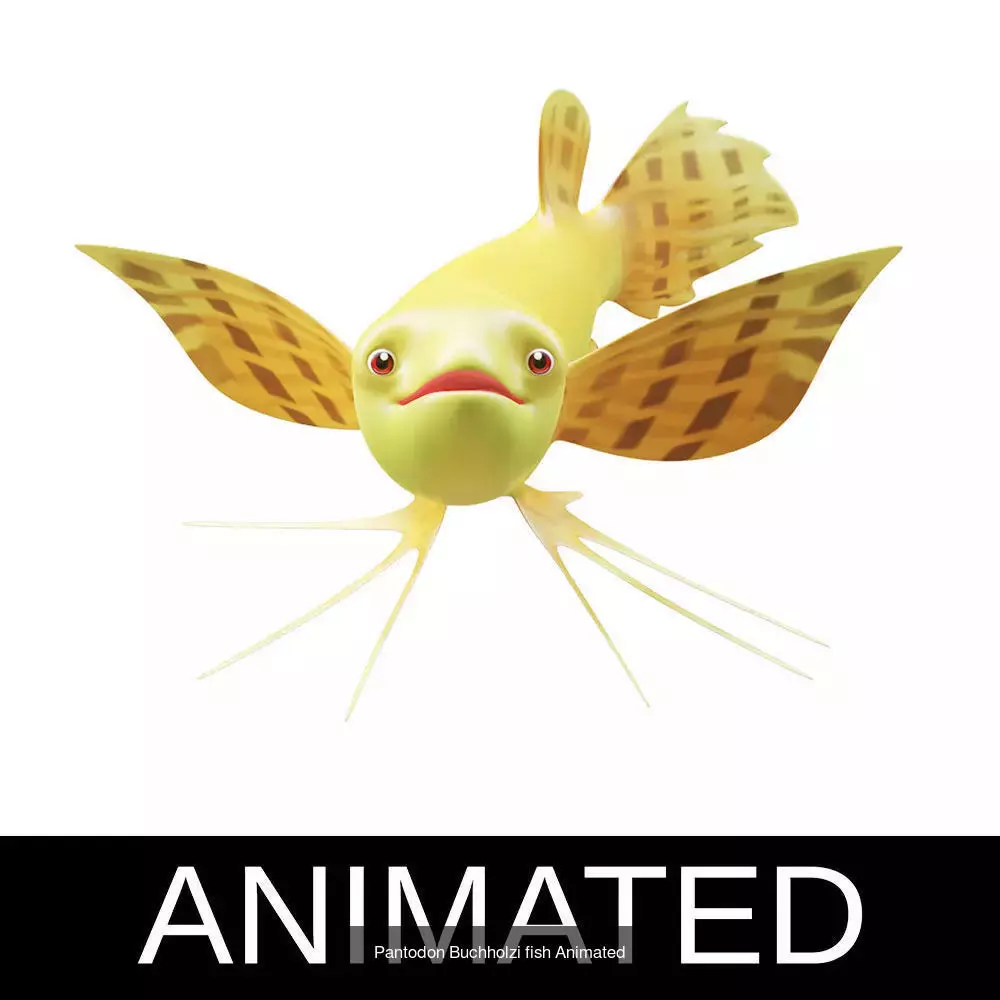 Low poly rigged and animated Aquatic animals Collection  _28
