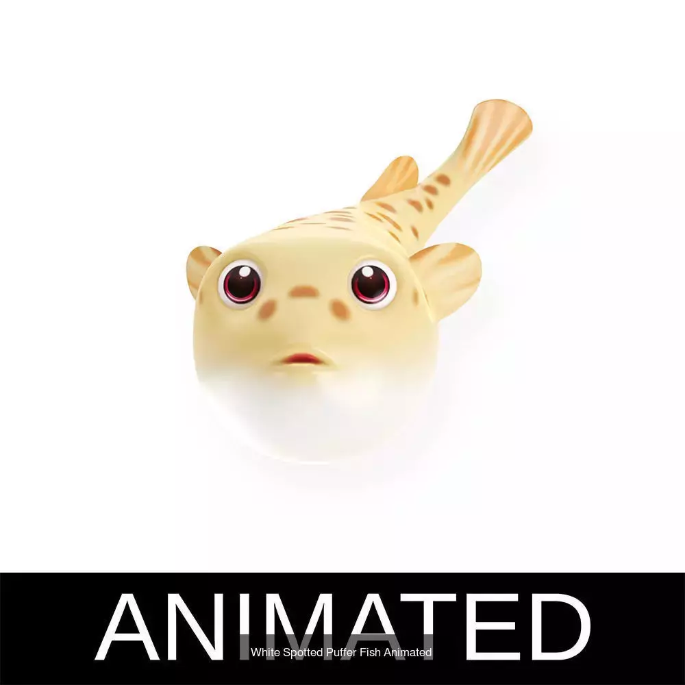 Low poly rigged and animated Aquatic animals Collection  _64