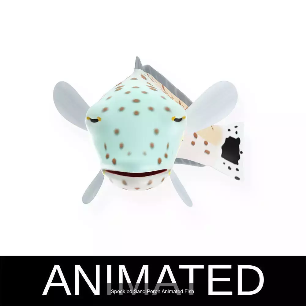Low poly rigged and animated Aquatic animals Collection  _58