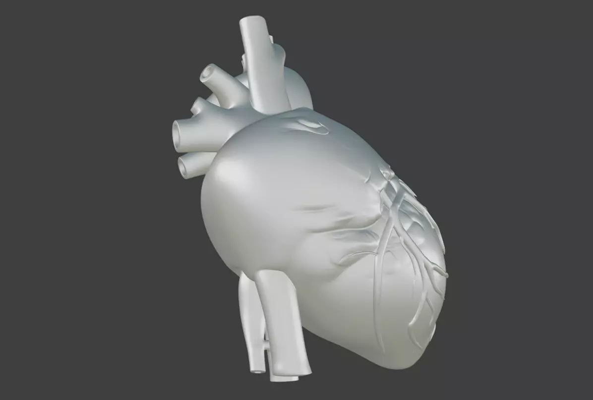 Realistic model of the heart three-dimensional valve 3D print model_8