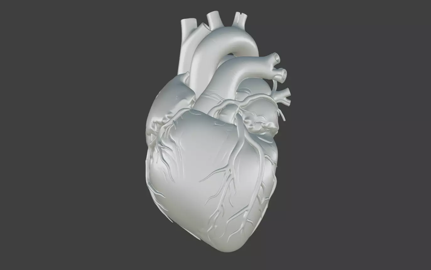 Realistic model of the heart three-dimensional valve 3D print model_5