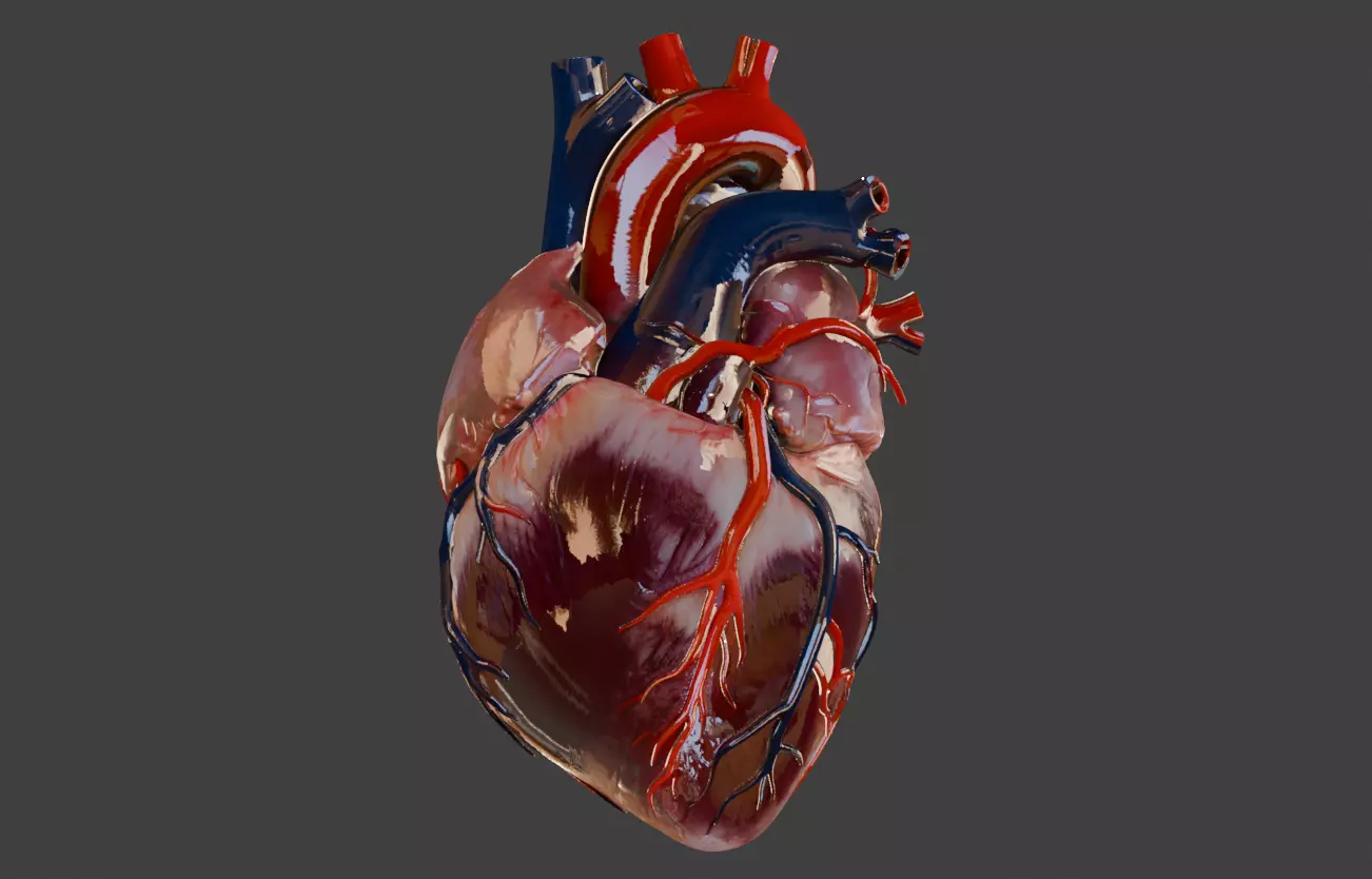 Realistic model of the heart three-dimensional valve 3D print model_0