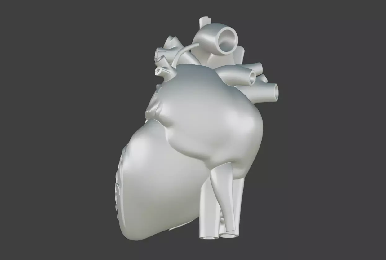 Realistic model of the heart three-dimensional valve 3D print model_7