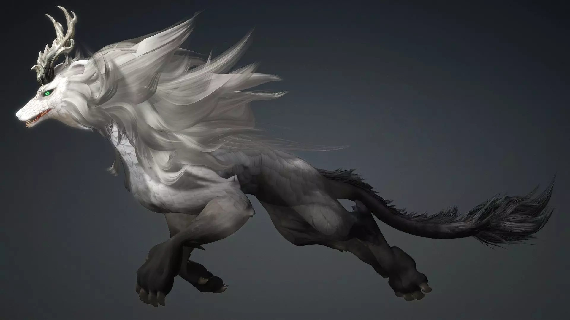 Divine Wolf-B4 3D model_8