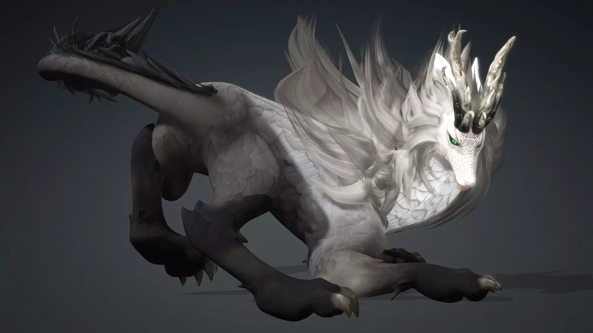 Divine Wolf-B4 3D model_17