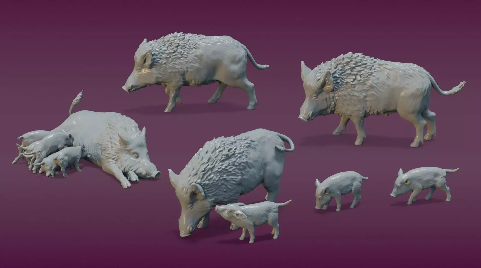Wild Boar Family 3D print model