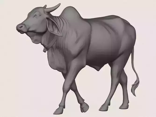Indian Ox Print Ready 3D Model