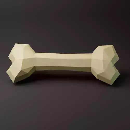Bone lowpoly model