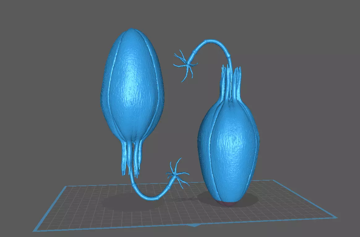 Alien Earth Pod 3D print model_4