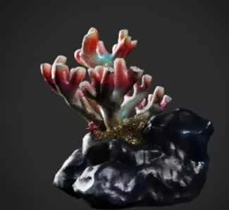 Coral 1 Free low-poly 3D model_4