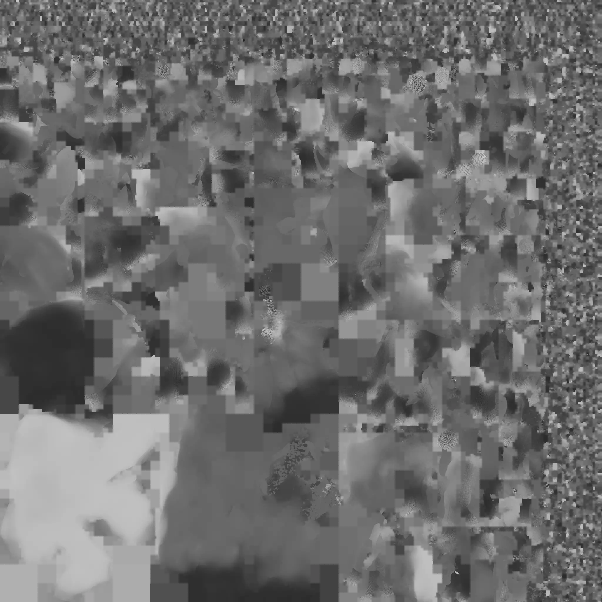 Coral 1 Free low-poly 3D model_17