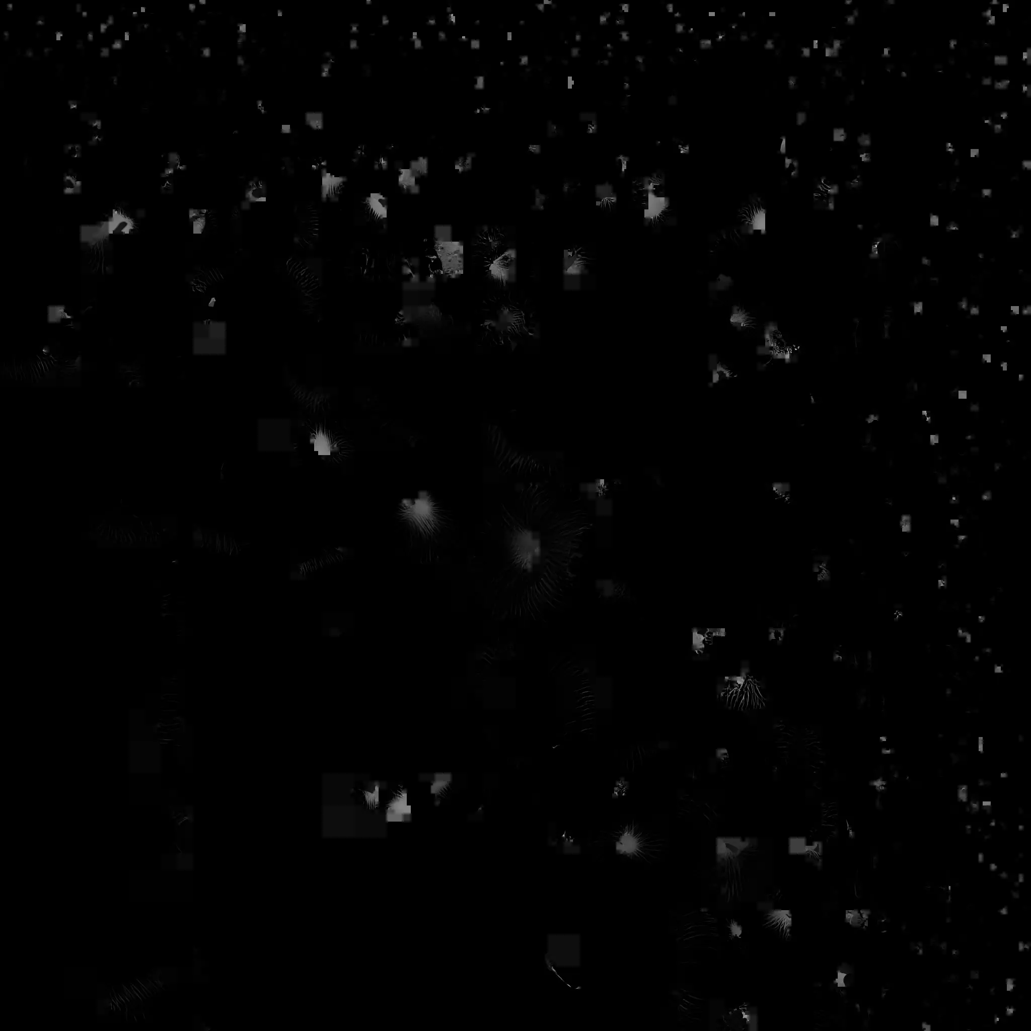 Coral 3 Low-poly 3D model_11