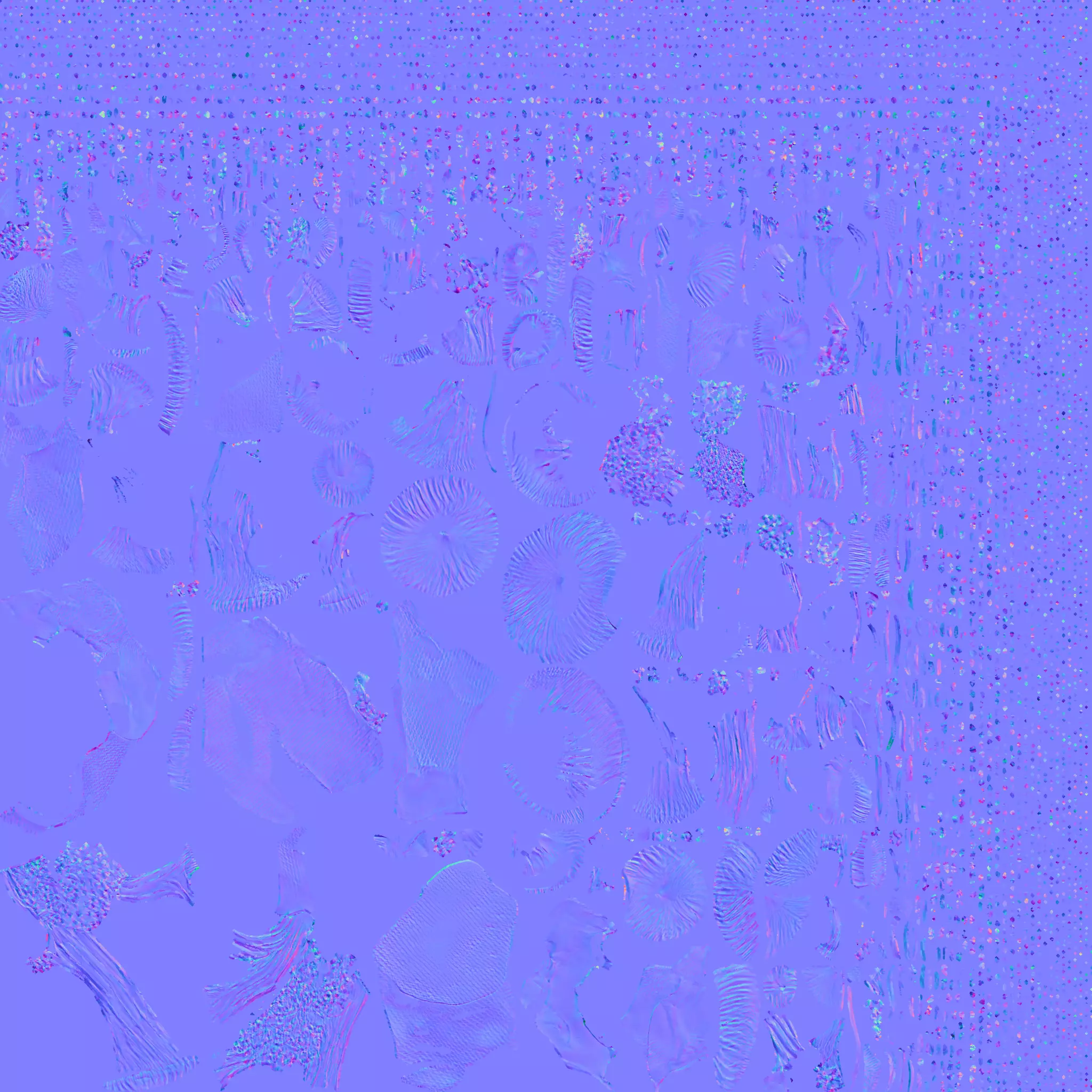 Coral 3 Low-poly 3D model_12