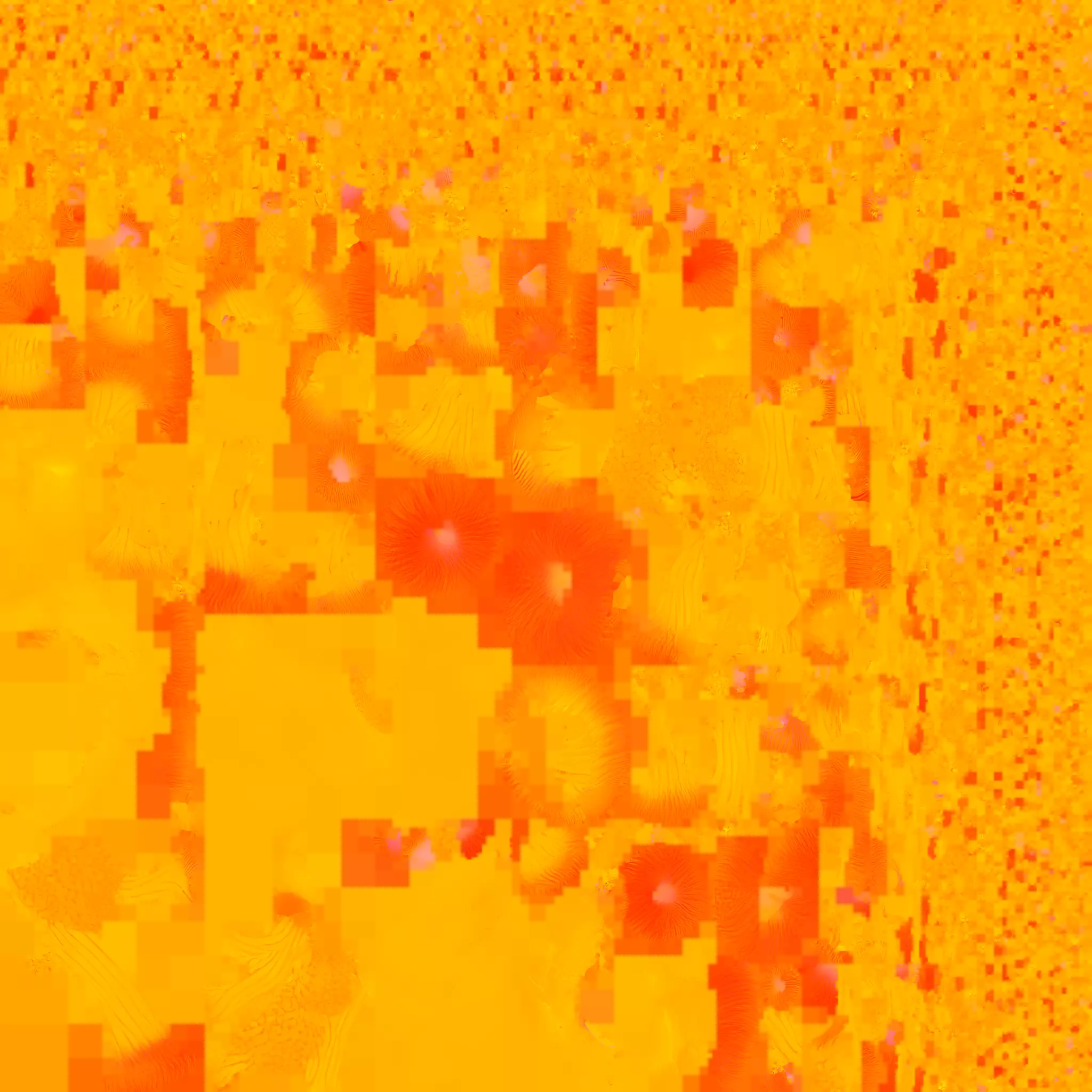 Coral 3 Low-poly 3D model_14