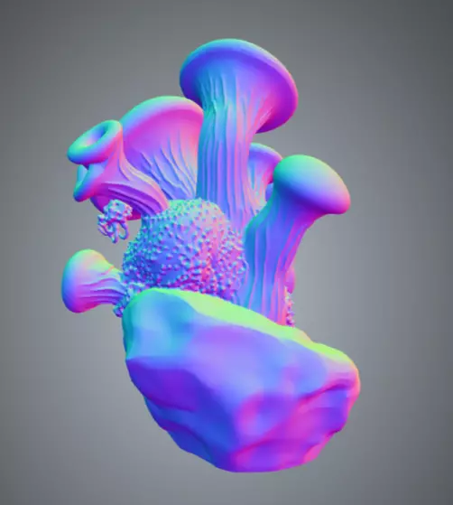 Coral 3 Low-poly 3D model_2