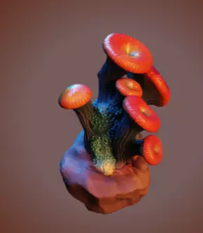 Coral 3 Low-poly 3D model_4