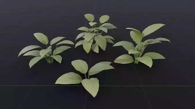The BroadLeaf Lily Bush  3D model