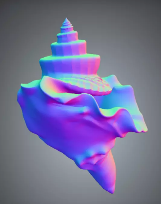 Conch Shell 1 Low-poly 3D model_5