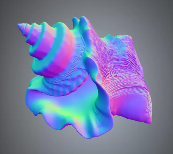 Conch Shell 1 Low-poly 3D model_6