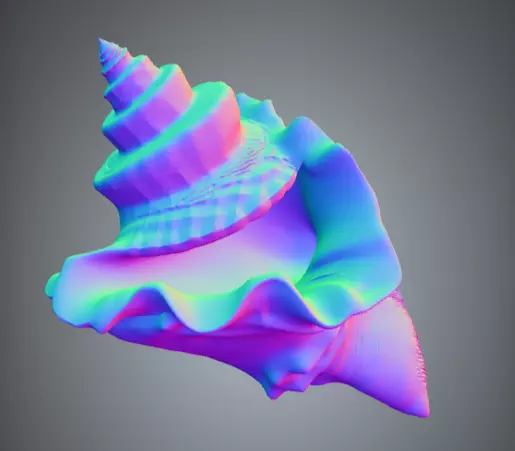 Conch Shell 1 Low-poly 3D model_8